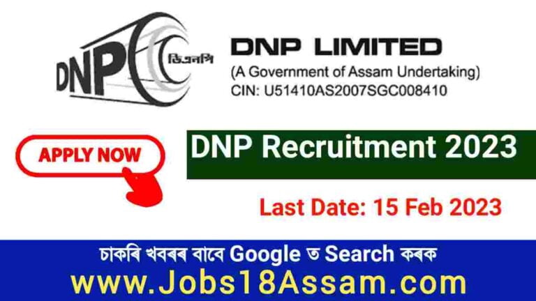 DNP Limited Recruitment 2023 Apply For Chief Manager Vacancy dnp-limited-recruitment-2023-apply-for-chief-manager-vacancy